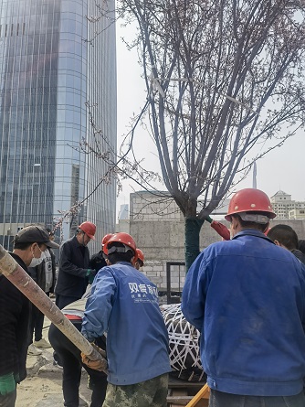 微信图片_2022040811414025.jpg